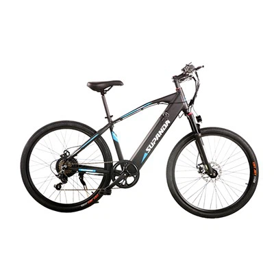 Rothar Sléibhe Ebike