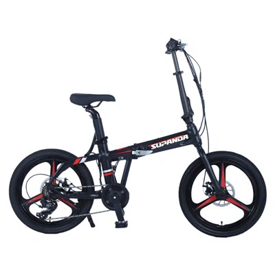 Rothar Leictreach 20 Inch Fillte