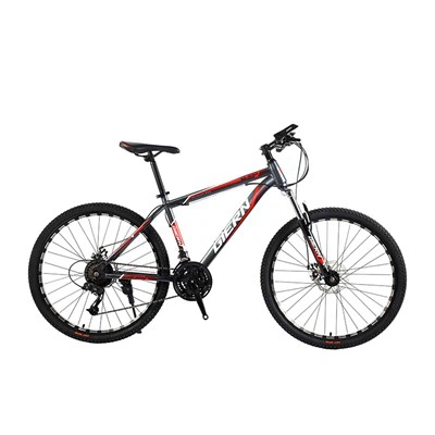 Hardtail Dh Rothar